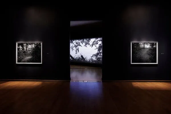 丝瓜视频 - 记忆守护者纪录片